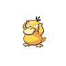Imagen del pokemon psyduck